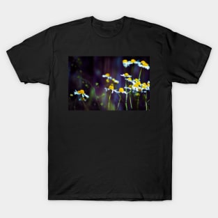 Shine on Dark Days T-Shirt